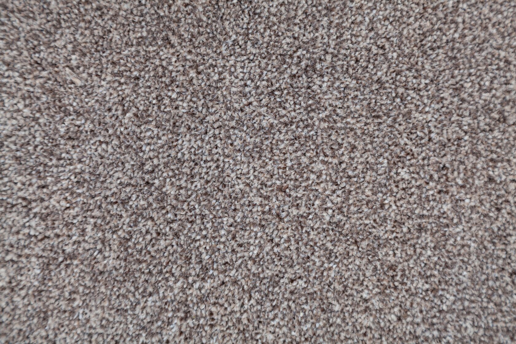 Ковровое покрытие "Bonkeel" Zodiak 39 (ширина 3м) — купить в Урае