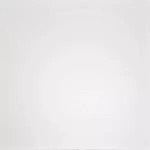 Керамогранит Домино (Domino) 600*600 белый G-100/MR — купить в Урае