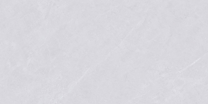 Керамогранит "Wan Sheng" Glazed (1200*600 мм) Серый D12620 — купить в Урае