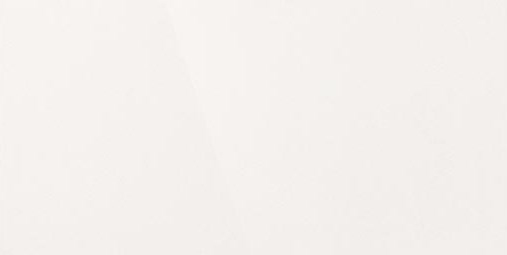 Керамогранит "Уральский Гранит" Палитра (1200*600 мм) Белый UF001PR — купить в Урае