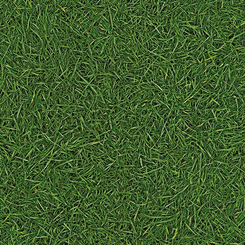 Линолеум бытовой "IVC" Bingo Grass 25 (3м) — купить в Урае