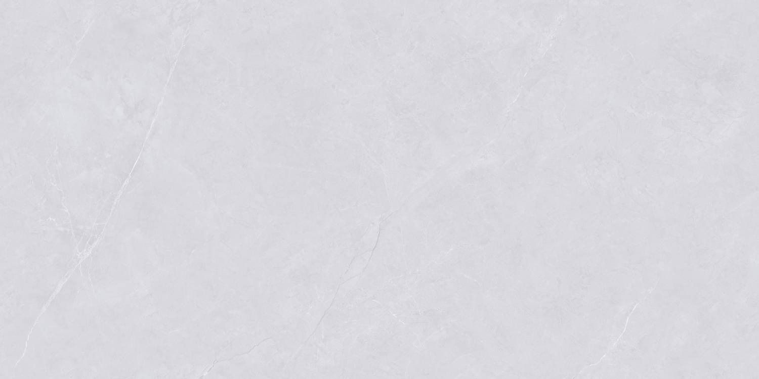 Керамогранит "Wan Sheng" Glazed (1200*600 мм) Серый D12620 — купить в Урае