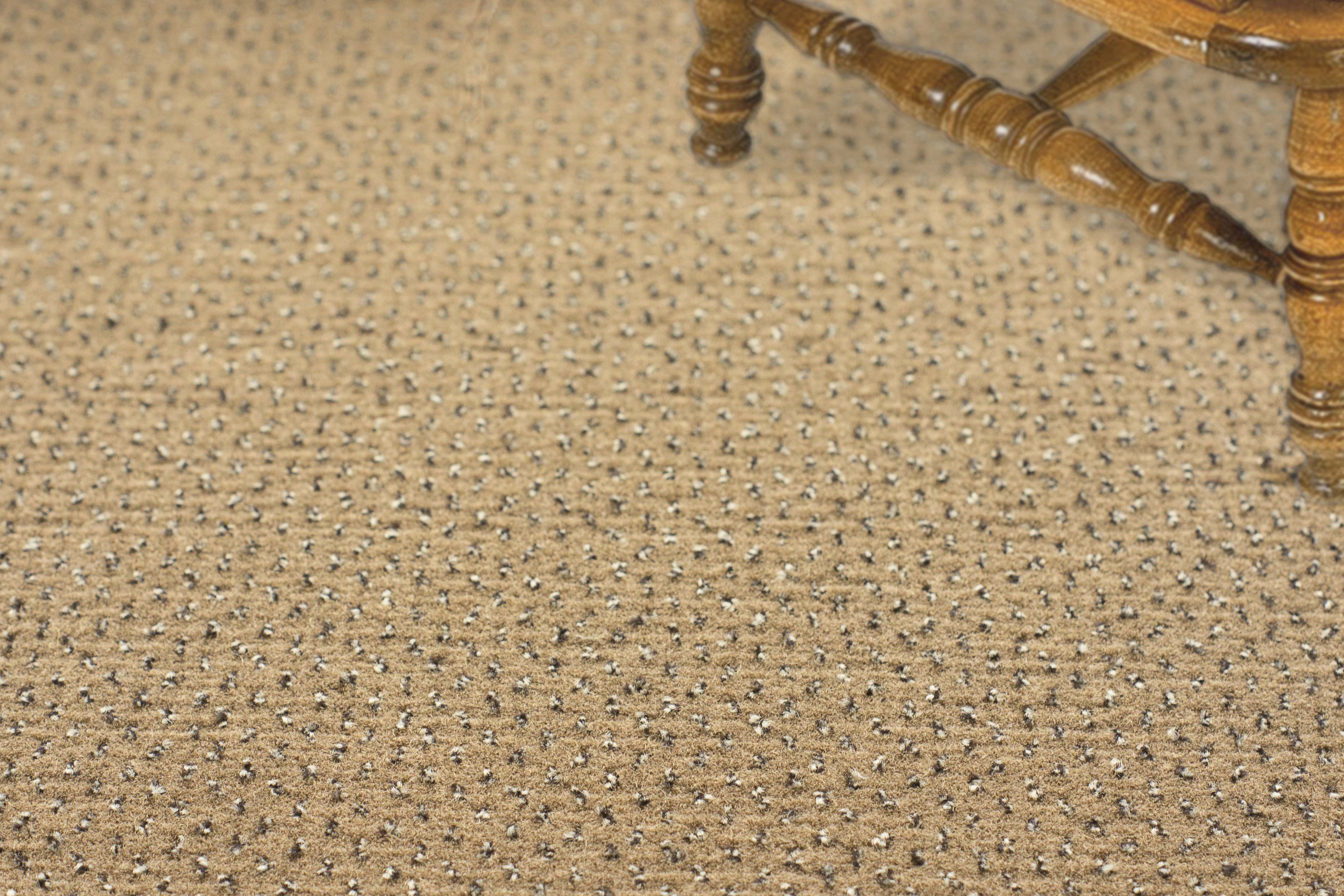 Ковролин "Зартекс" Eternity 142 бежевый (4м) — купить в Урае